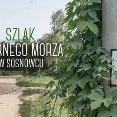 Najlepsze trasy rowerowe w Sosnowcu – odkryj ukryte perełki