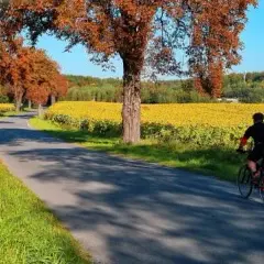 Puszcza Dulowska trasy rowerowe: odkryj najpiękniejsze szlaki