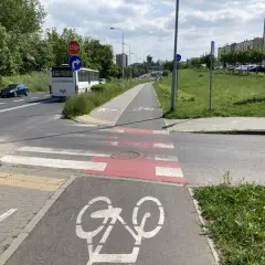 Przejście dla pieszych na ścieżce rowerowej, z oznaczeniem roweru. Autobus i samochody czekają na drodze.