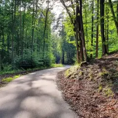Najlepsze trasy rowerowe w Gdańsku, które musisz poznać i przejechać