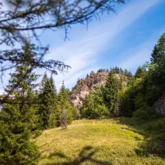 Słoneczny dzień w Wąwozie Homole. Zielone drzewa iglaste i liściaste otaczają skaliste zbocza, a błękitne niebo z chmurami dopełnia krajobraz.
