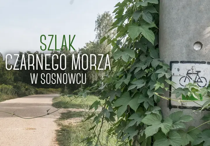 Najlepsze trasy rowerowe w Sosnowcu – odkryj ukryte perełki