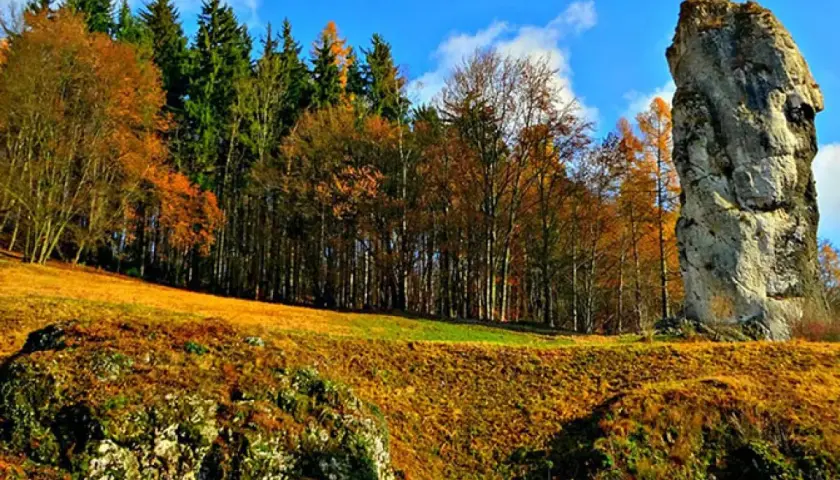 Jesienny krajobraz z wysoką skałą przypominającą maczugę Herkulesa. W tle las w barwach jesieni i błękitne niebo.