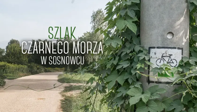 Najlepsze trasy rowerowe w Sosnowcu – odkryj ukryte perełki