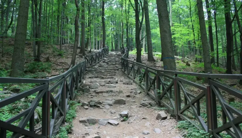 Kamieniste schody wiodące przez las w Górach Świętokrzyskich, otoczone drewnianą balustradą.