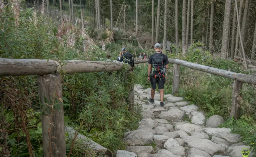 Palenica Białczańska i Morskie Oko - Plan na udany dzień w Tatrach