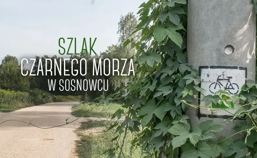 Najlepsze trasy rowerowe w Sosnowcu – odkryj ukryte perełki