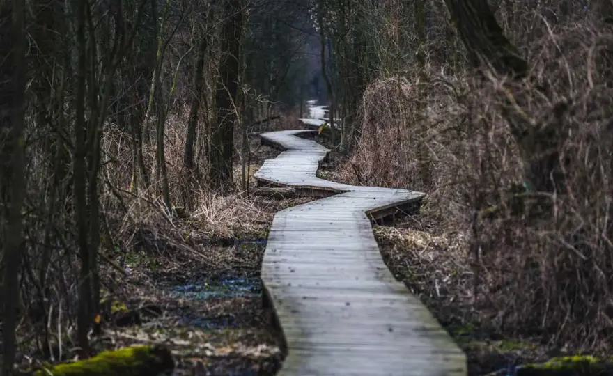 Atrakcje Kampinosu - najlepsze miejsca i trasy na jeden dzień