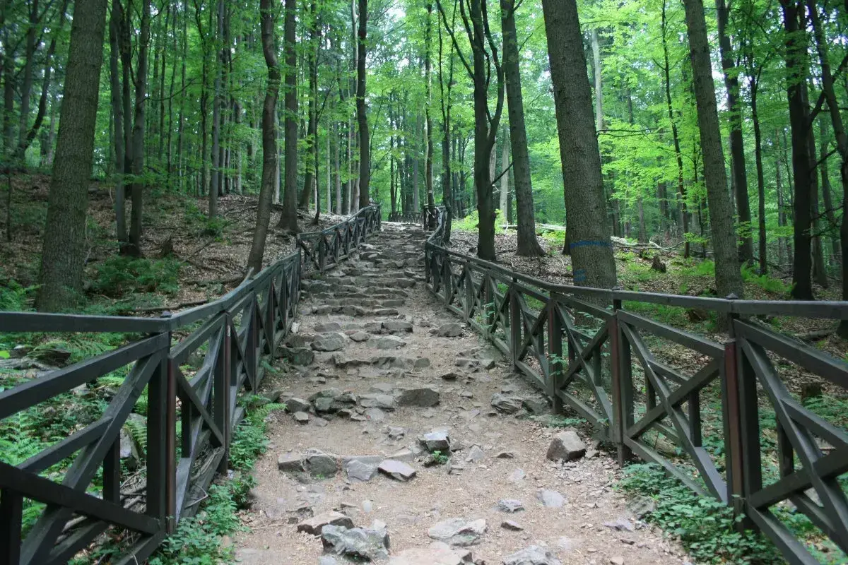 Kamieniste schody wiodące przez las w Górach Świętokrzyskich, otoczone drewnianą balustradą.