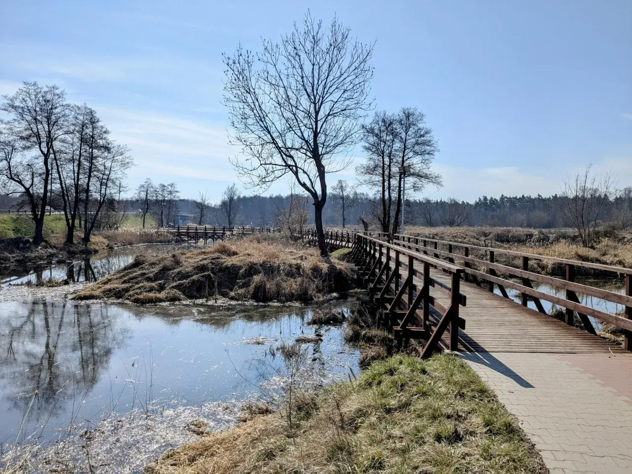 Drewniany mostek nad spokojną rzeką Pilicą, otoczony suchymi trawami i nagimi drzewami.