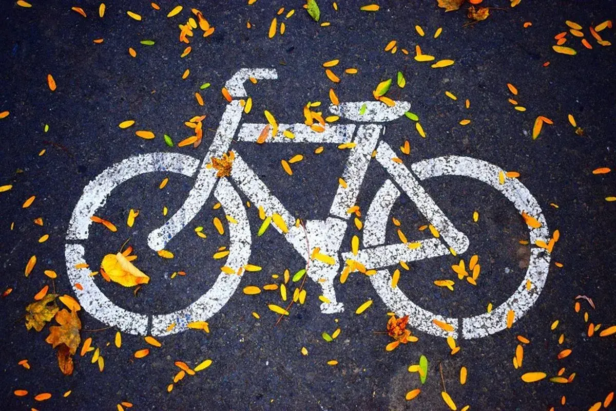 Znak roweru na asfalcie, zasypany jesiennymi liśćmi. To jak symboliczne prawo jazdy na rower, gotowe do jesiennych przejażdżek.