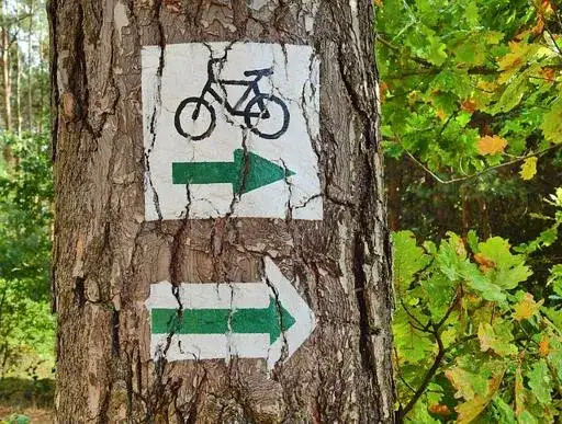 Zdjęcie Najlepsze trasy rowerowe w Kaszubach: Odkryj ukryte skarby regionu