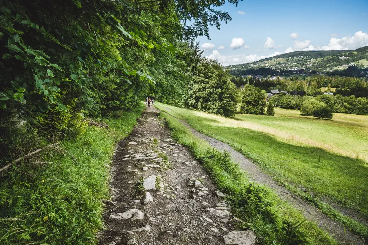Kamienista ścieżka pod reglami, otoczona zielenią, prowadzi przez malowniczy krajobraz z widokiem na góry i dolinę.
