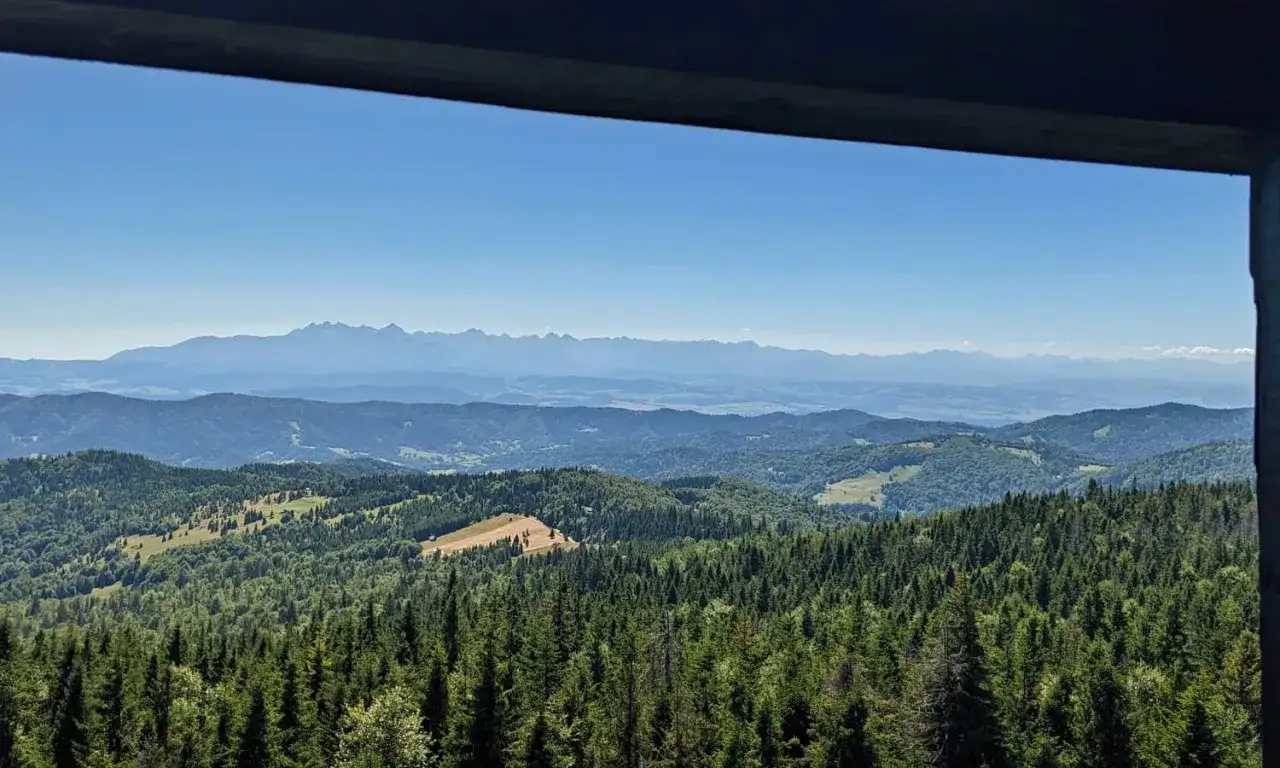 Widok z wieży widokowej na Gorcach. W dole lasy, pola i doliny, w oddali majaczą Tatry.